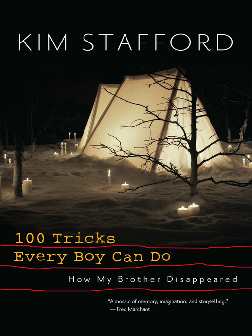 Title details for 100 Tricks Every Boy Can Do by Kim Stafford - Available